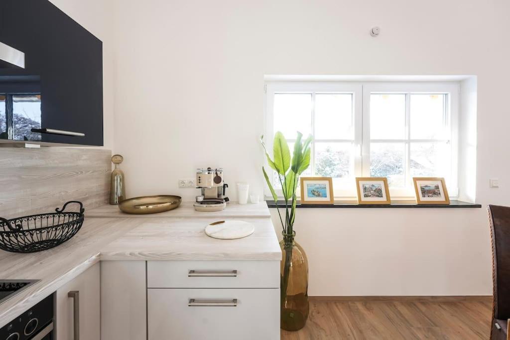 Appartement Loft “samuel” *
