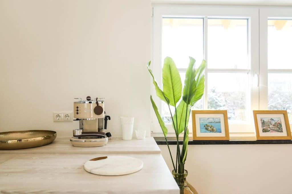 Appartement Loft “samuel”